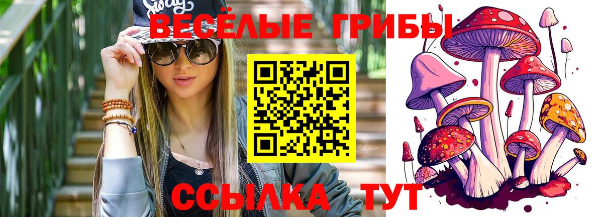Галлюциногенные грибы MAGIC MUSHROOMS  Вход с VPN  Шарыпово  Галлюциногенные грибы мухоморы 